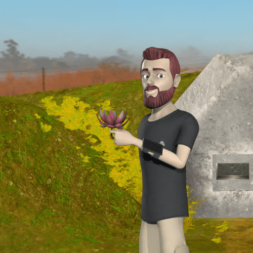 lotus-desarrollo de la resiliencia